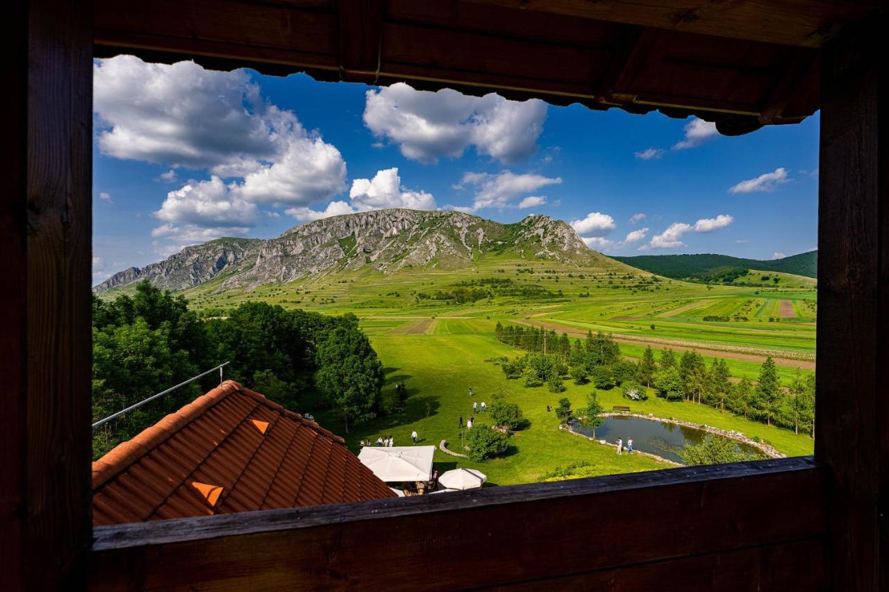 Conacul Secuiesc-Szekelyko Kuria Hotel Coltesti Buitenkant foto