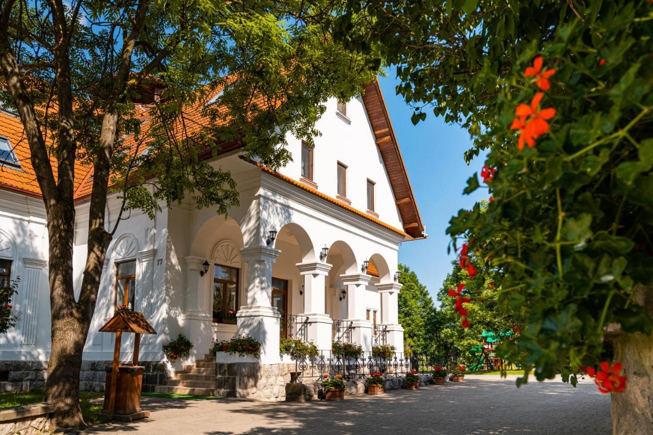 Conacul Secuiesc-Szekelyko Kuria Hotel Coltesti Buitenkant foto