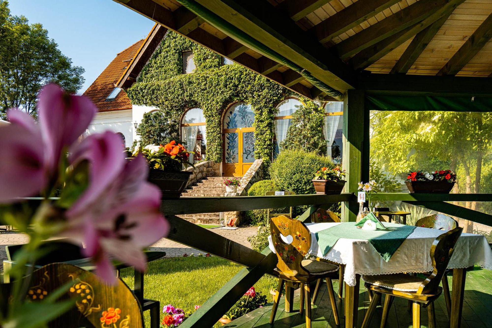 Conacul Secuiesc-Szekelyko Kuria Hotel Coltesti Buitenkant foto